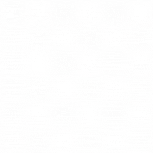 SHEIN IPHONE MOCKUP (1)